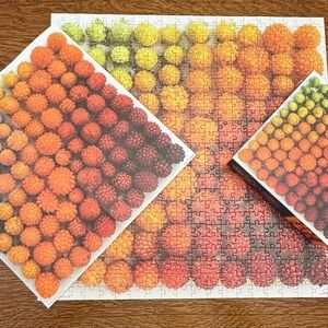 Genuine Fred Salmonberries Gradient 500 Piece Puzzle Complete by Emily Blincoe